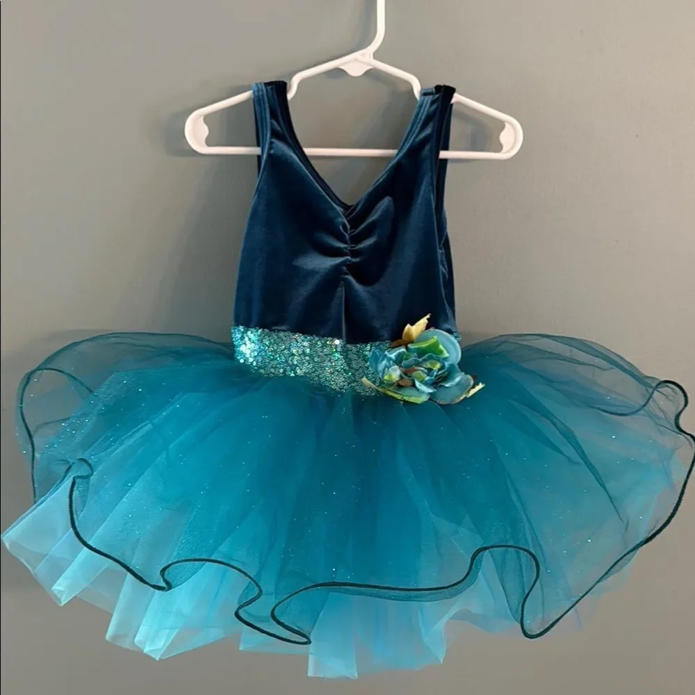 Girl’s Small blue Ballet Tutu Dress Dance Fairy Princess dress ~ Dress Up